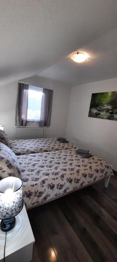 Apartman Karolina Rudanovac エクステリア 写真