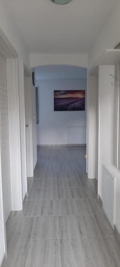 Apartman Karolina Rudanovac エクステリア 写真